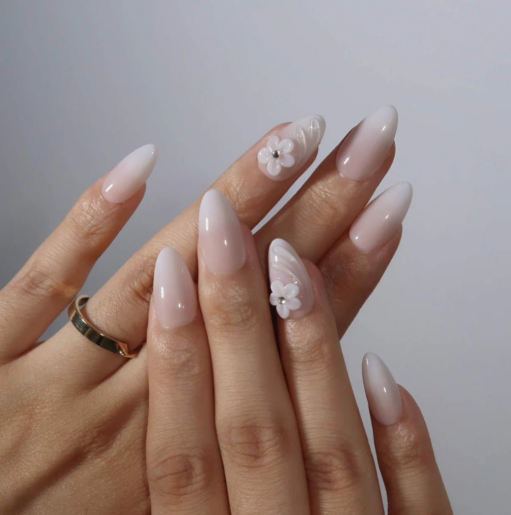 Petal Ombre